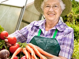 O verão apresenta suas frutas e verduras da estação